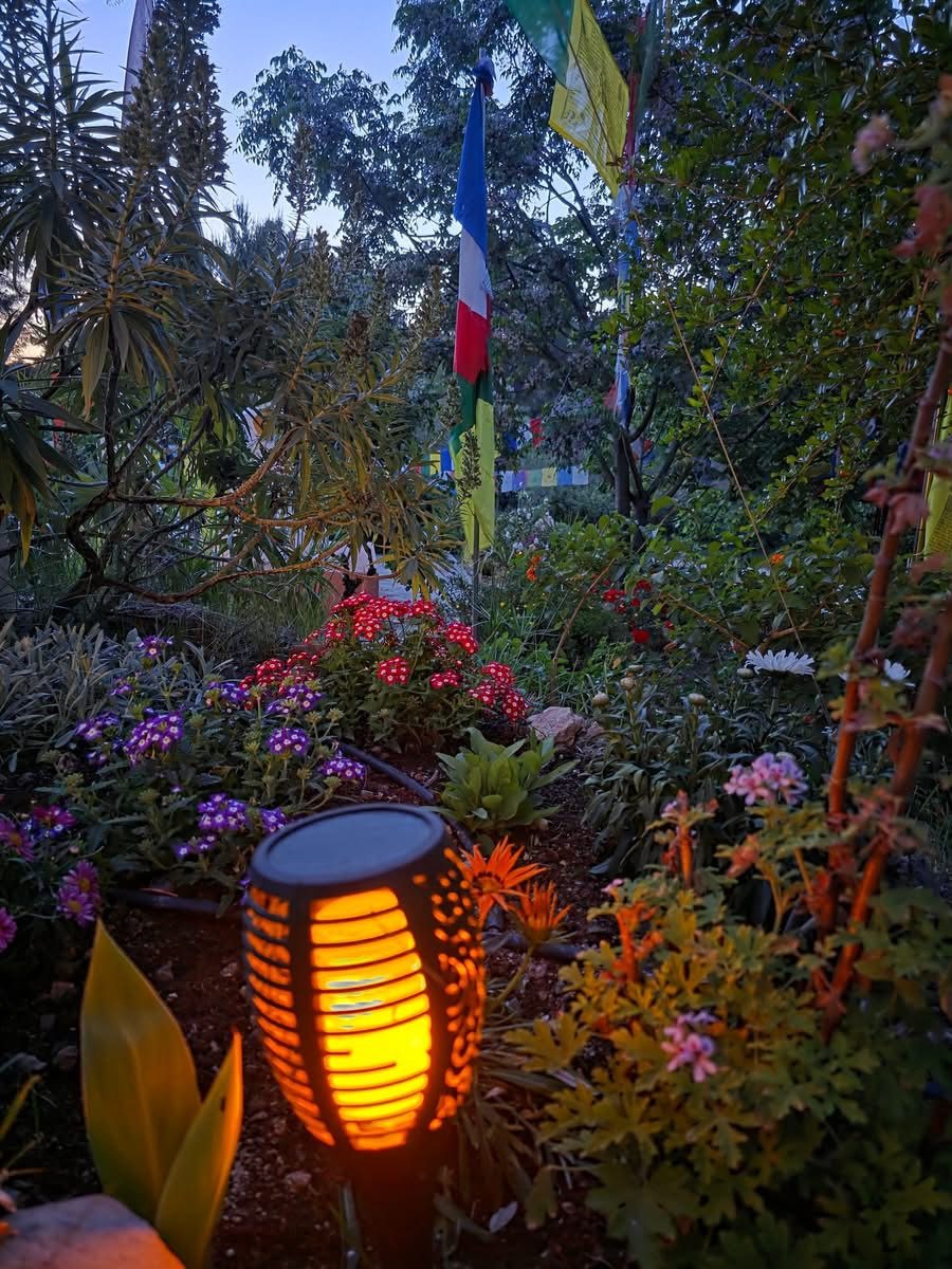 Los jardines del centro al atardecer